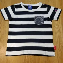 Championボーダー柄Tシャツ 120サイズ