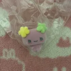 다마고치 캡슐 프록키 후라와치