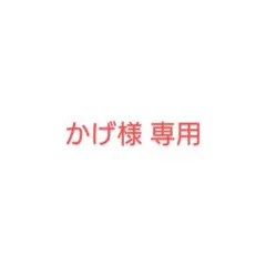 かげ様 専用出品