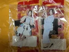 豆柴の大群　モモチ・ンゲール　アクスタ2個セット