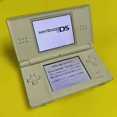 ニンテンドーDS Lite 本体 タッチペン 充電器付き