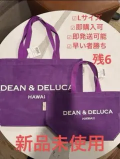 即発DEAN&DELUCA ハワイ限定 メッシュトートバッグ Lサイズ　2025
