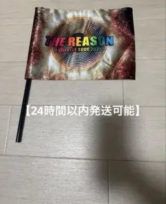 THE REASON EXILE LIVE TOUR 2025フラッグ