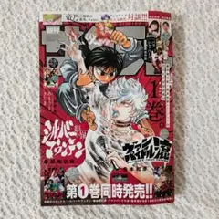 週刊 少年サンデー 2025 41号