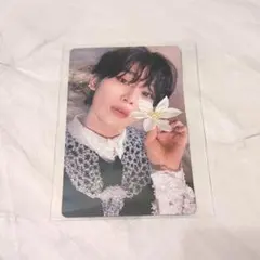 ENHYPEN トレカ ソヌ ORANGE BLOOD KALPA