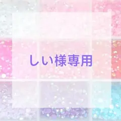 しい様専用ページ