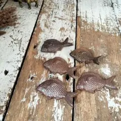 2025年最新】本山和泉の人気アイテム - メルカリ