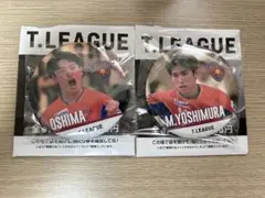缶バッジチャンスくじ Tリーグ 卓球 T.LEAGUE 缶バッジ 16点セット