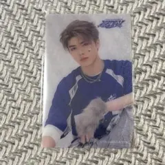 気紛れさん様 リクエスト 2点 まとめ商品