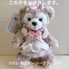 pinjin出品！カラフルハピネス　バケパポージープラッシー　シェリーメイ ダッフィーのバケパプラン② 限定グッズ付き | ちぃたまちゃんの