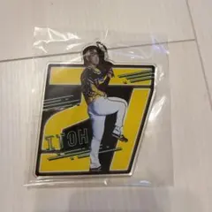 Item thumbnail for item e6c0be2f-184a-45d8-b2c6-ee354d7abd09