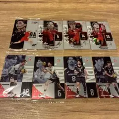 バレーボール選手カード