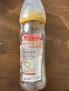 Item thumbnail for item 5dacf36b-6ae7-46d8-8be4-63af5313a48f