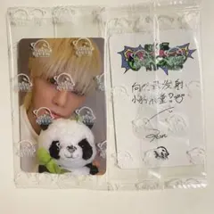 NEXZ ソゴン 中華 starriver 2.0 スタリバ トレカ パンダ