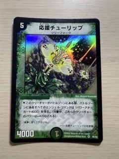 応援チューリップ