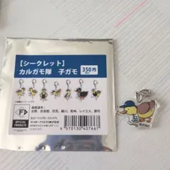 北海道日本ハムファイターズ　細川凌平選手　カルガモ
