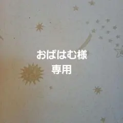 おばはむ様専用です　　　　　　　　　　明治　ホワイトチョコレート　10個