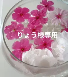 二部式着物（3着の内の1着）のサムネイル
