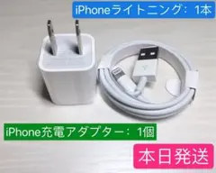 1個Apple純正品質電源アダプター充電器、1本iPhoneライトニングケーブル