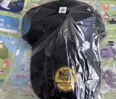 ポケモン ぽこあポケモン 特典 キャップ エディオン メタモン