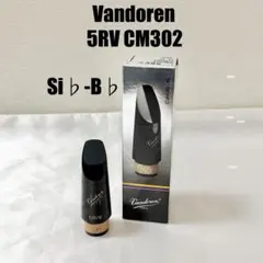 Vandren 5RV CM302 Si♭-B♭ クラリネット マウスピース - メルカリ