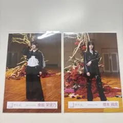 櫻坂46生写真 「港区パセリ」 MV衣装 幸阪茉里乃　増本綺良　ヒキ