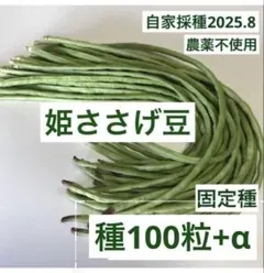 こうめ様 リクエスト 2点 まとめ商品