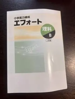 2026年最新】エフォート 中学受験の人気アイテム - メルカリ