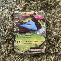 フシギバナEX PROMO XYシリーズプロモーションカード PROMO 23…のサムネイル