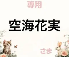 専用