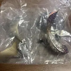 モンスターハンター スタンダードモデル　バゼルギウス