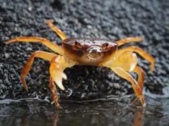 Item thumbnail for item 2b848602-43c7-4389-9dab-04d88fad10f4