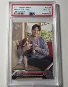 2023 Topps Now 大谷翔平 OS19 BGS 10 - メルカリ