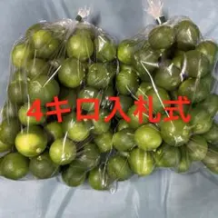 ハウススダチ 家庭用 8キロ - メルカリ