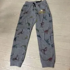 H&M ジュラシック・ワールド 恐竜柄 長ズボン 100cm以上