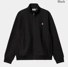 Carhartt WIP AMERICAN SCRIPT JACKET L