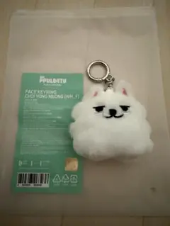 2025年最新】TXT プルバトゥ ヨンモンの人気アイテム - メルカリ