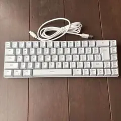 Rapoo Aesco A67 電磁誘導 ラピッドトリガー キーボード - メルカリ