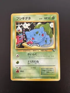 超美品　フシギダネ ◆ 拡張シート第1弾(青版) 旧裏 旧裏】フシギダネ ◇ 拡張シート第1弾(青版) - メルカリ