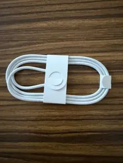 Apple純正 USB-C 充電ケーブル（iPhone 17同梱品）