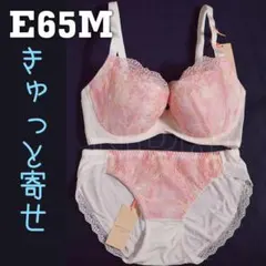 E65Mセット　きゅっと寄せブラ　プレイフルアーチ