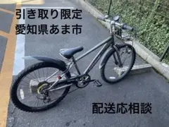 2026年最新】子供 自転車 ドライドの人気アイテム - メルカリ