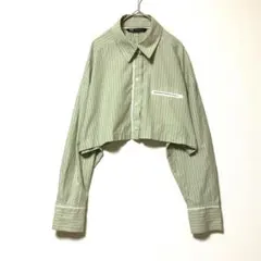 2539 ザラ シャツ ブラウス ストライプ ショート丈 クロップド丈 M 黄緑のサムネイル