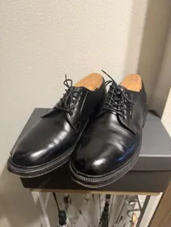 Alden（オールデン）× BEAMS PLUS 別注 9909のサムネイル