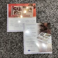 Item thumbnail for item 87b822a1-0ac3-426a-95c6-0fe24e7a8299