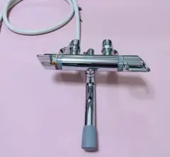 Item thumbnail for item 1c097035-d62e-4722-b580-77ffbdee5ab2