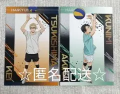 ハイキュー!!　アニメイトフェア　ユース・擬似ユース合宿フェア　ポスカ