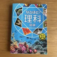 Item thumbnail for item 02c65af6-5e46-4bc7-8937-20eed30ac187