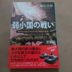 弱小国の戦い