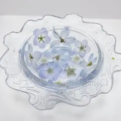 お部屋に癒しの空間を✳美ら海のトレイ 深め正方形型 固まるハー